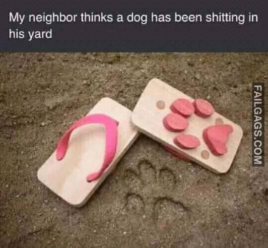 My Neighbor Thinks a Dog Has Been Shitting in His Yard Meme