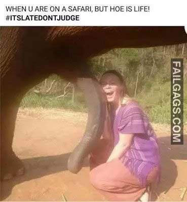 When U Are On A Safari But Hoe Is Life Meme