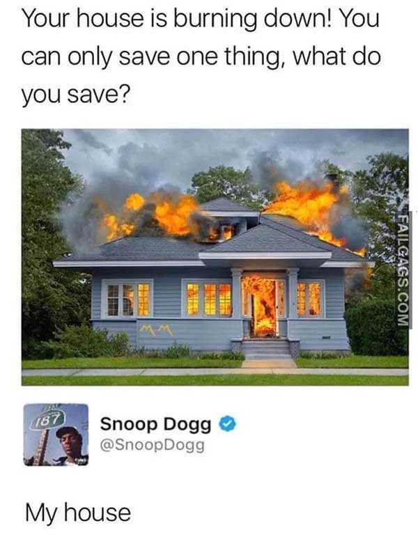 Your House Is Burning Down You Can Only Save One Thing What Do You Save? My House Meme