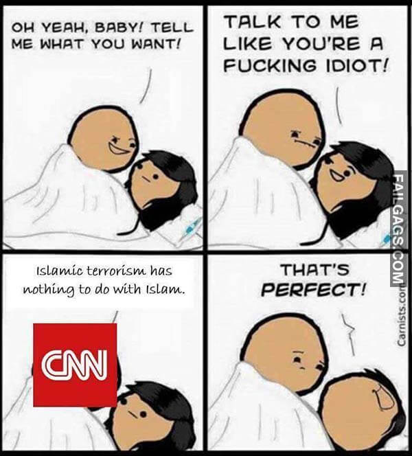 Oh Yeah Baby Tell Me What You Want Talk To Me Like Youre A Fucking Idiot Islamic Terrorism Has Nothing To Do With Islam Thats Perfect Meme
