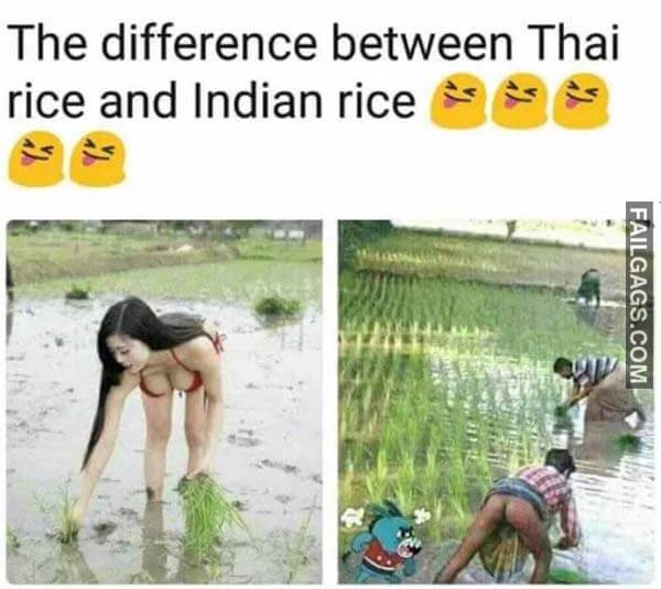 The Difference Between Thai Rice And Indian Rice Meme