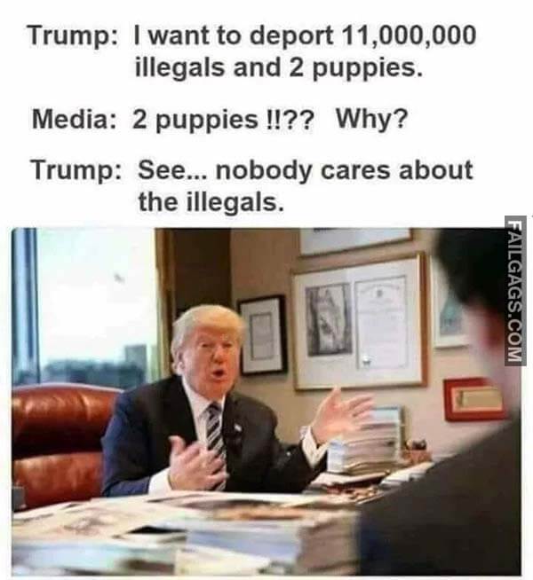 Trump I Want To Deport 11000000 Illegals And 2 Puppies Media 2 Puppies?? Why? Trump See Nobody Cares About The Illegals Meme