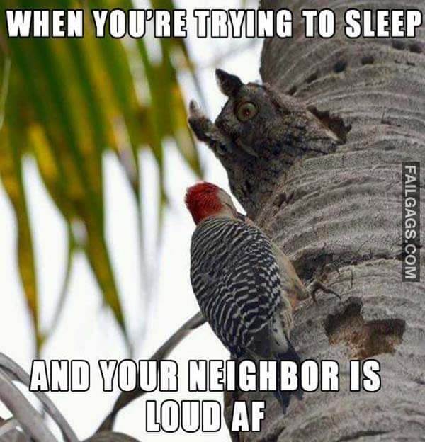 When You're Trying To Sleep And Your Neighbor Is Loud Af Meme