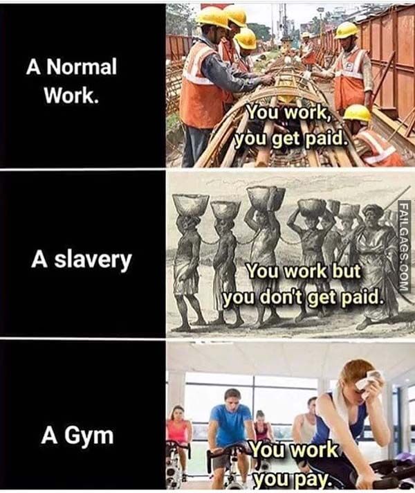 A Normal Work You Work You Get Paid A Slave You Work But You Don't Get Paid A Gym You Work You Pay Meme