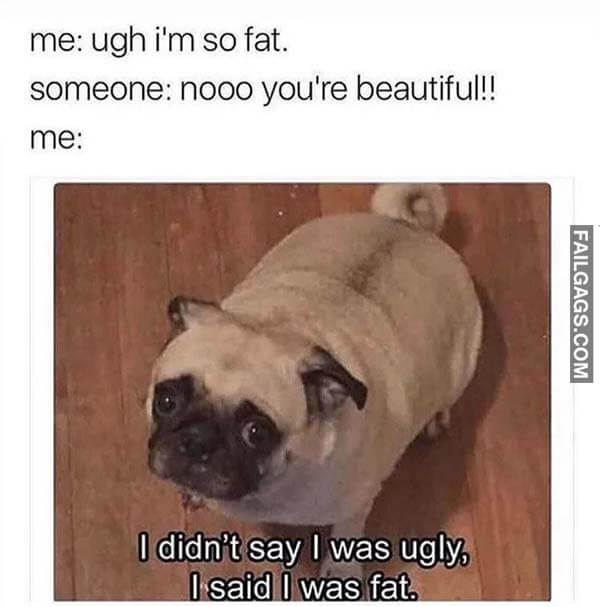 Me Ugh I'm So Fat Someone Noo You're Beautiful Me I Don't Say I Was Ugly I Said I Was Fat Meme