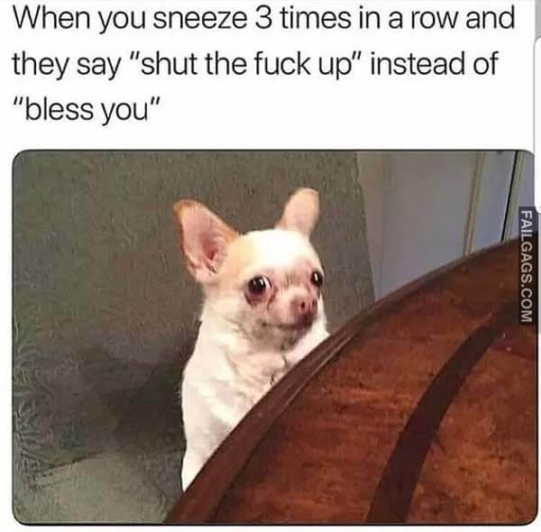 When You Sneeze 3 Times In A Row And They Say Shut The Fuck Up Instead Of Bless You Meme