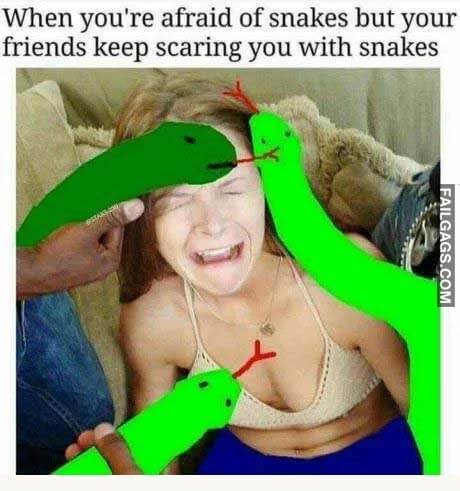 When You're Afraid Of Snakes But Your Friends Keep Scaring You With Snakes Meme