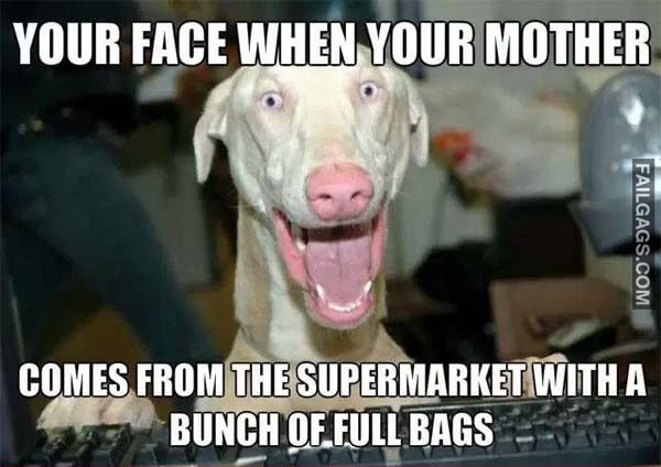 Your Face When Your Mother Comes From The Supermarket With A Bunch Of Full Bags Meme