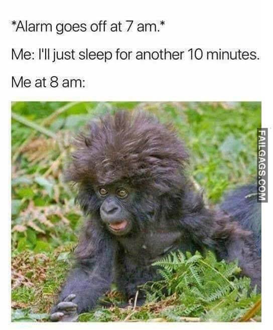 Alarm Goes Off At 7Am Me I'll Just Sleep For Another 10 Minutes Me At 8 Am Meme