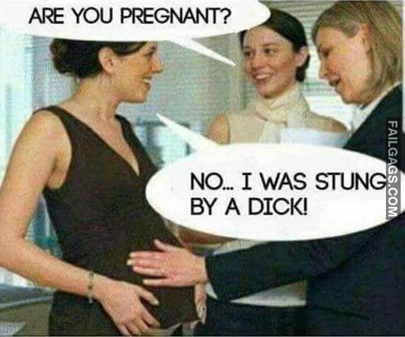 Are You Pregnant? No I Was Stung By A Dick Meme