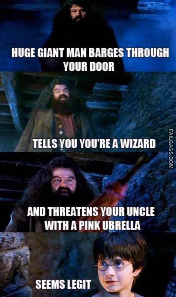 Huge Giant Man Barges Through Your Door Tells You You're A Wizard And Threatens Your Uncle With A Pink Umbrella Seems Legit Meme