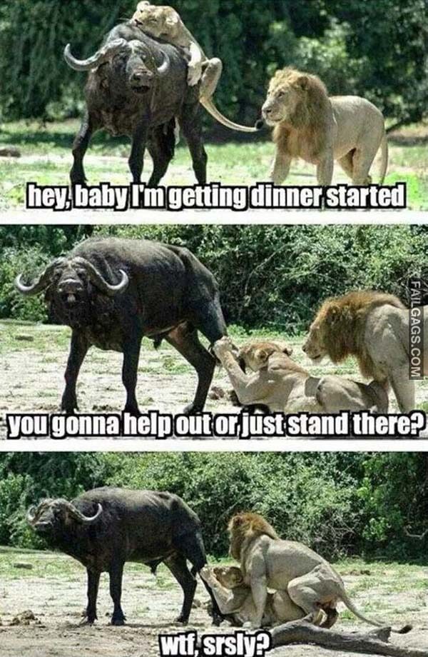 Hey, Baby I'm Getting Dinner Started You Gonna Help Out Or Just Stand There? Wtf Srsly? Meme