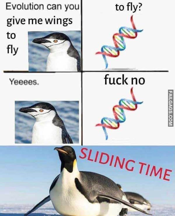 Evolution Can You Give Me Wings To Fly? To Fly? Yeeees. Fuck No Sliding Time Meme