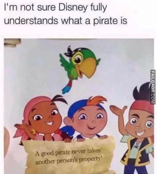 I'm Not Sure Disney Fully Understands What A Pirate Is A Good Pirate Never Takes Another Person's Property! Meme