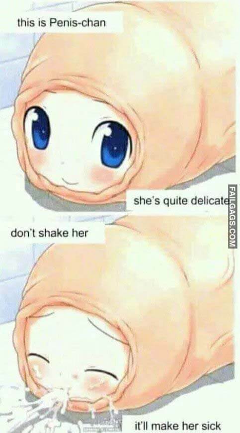 This Is Penis-Chan She's Quite Delicate Don't Shake Her It'll Make Her Sick Meme