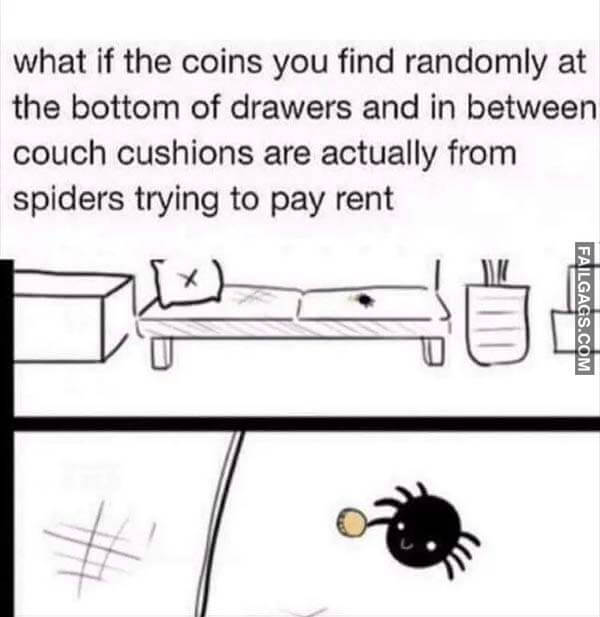 What If The Coins You Find Randomly At The Bottom Of Drawers And In Between Couch Cushions Are Actually From Spiders Trying To Pay Rent Meme