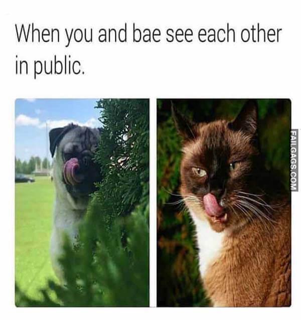 When You And Bae See Each Other In Public Meme