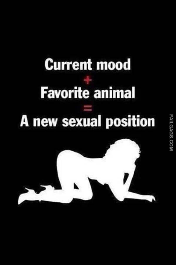 Current Mood + Favorite Animal = A New Sexual Position Meme
