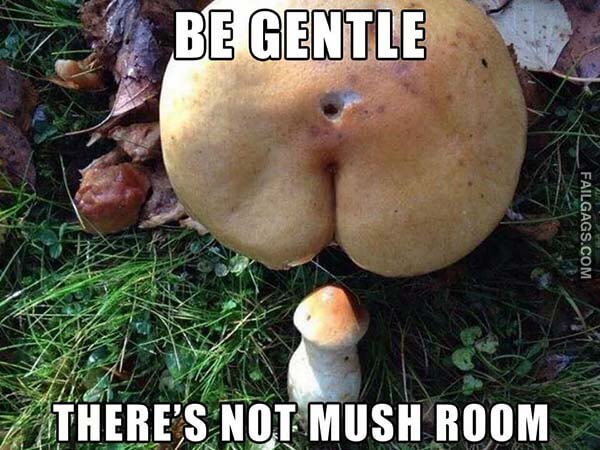 Be Gentle There's Not Mush Room Meme