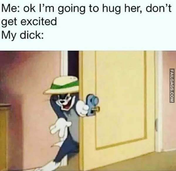 Me: 0k I'm Going to Hug Her, Don't Get Excited My Dick: Meme