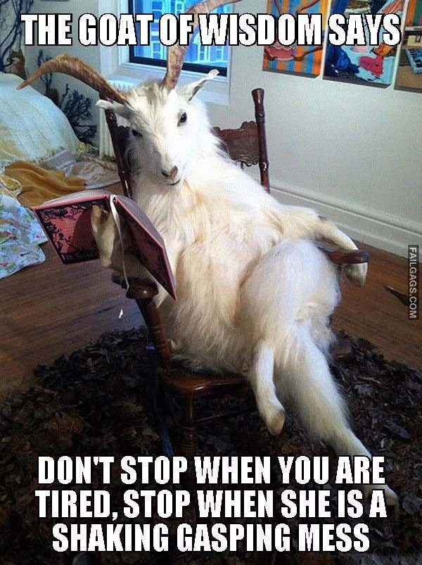 The Goat Of Wisdom Says Don't Stop When Are Tired, Stop When She Is A Shaking Gasping Mess Meme