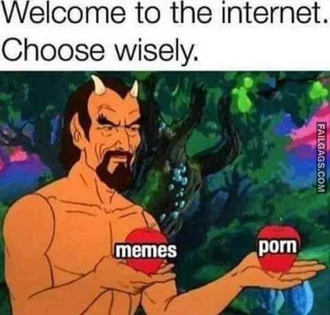 Welcome to the Internet. Choose Wisely Porn Memes Meme