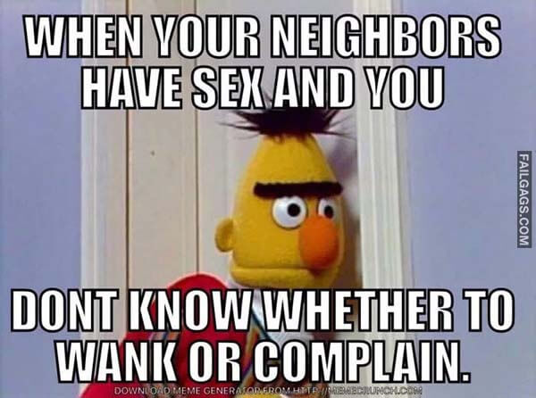 When Your Neighbors Have Sex and You Don't Know Whether to Wank or Complain Meme