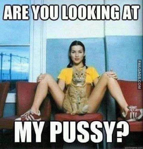 Are You Looking at My Pussy Meme