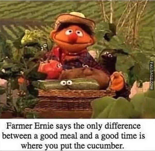 Farmer Ernie Says the Only Difference Between a Good Meal and a Good Time Is Where You Put the Cucumber. Meme