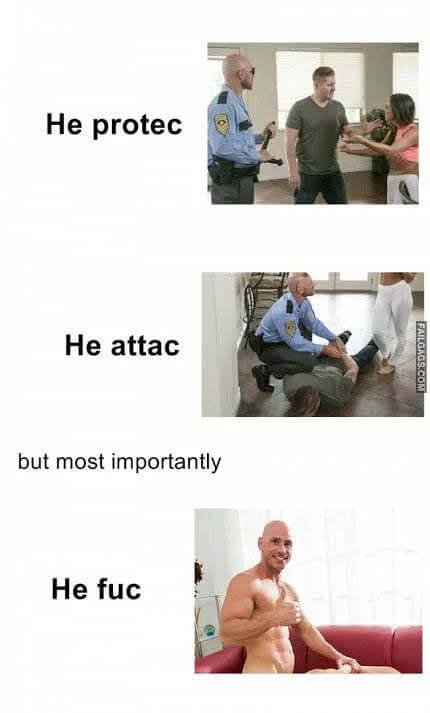 He Protec He Attac but Most Importantly He Fuck Meme