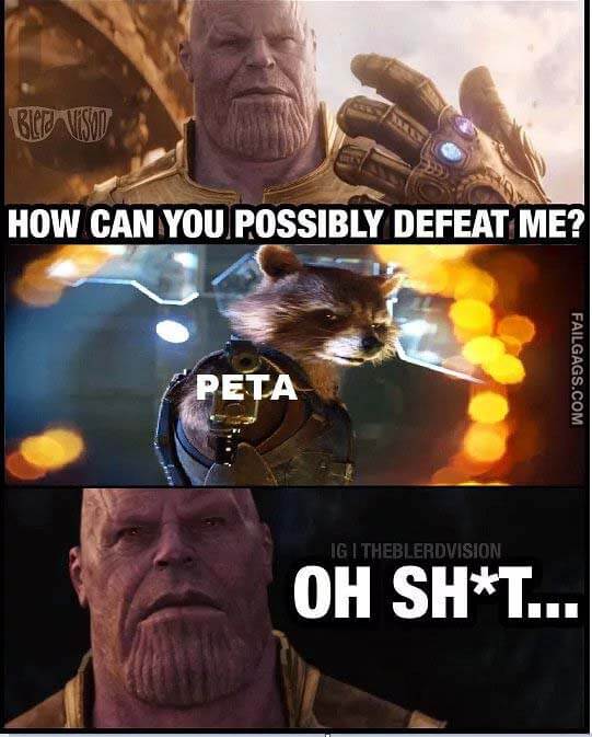 How Can You Possibly Defeat Me? Peta Oh Shit.... Meme