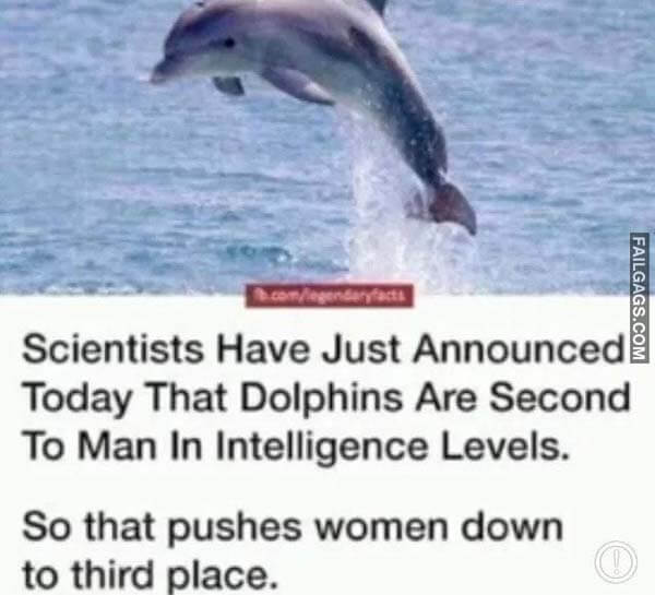 Scientists Have Just Announced Today That Dolphins Are Second to Man in Intelligence Levels So That Pushes Women Down to Third Place Meme