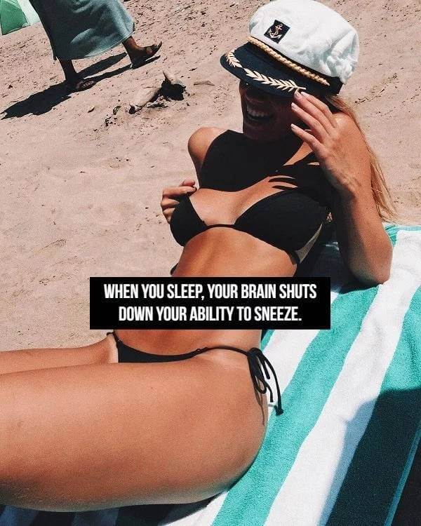 Sexy Bikini Girls and Facts 