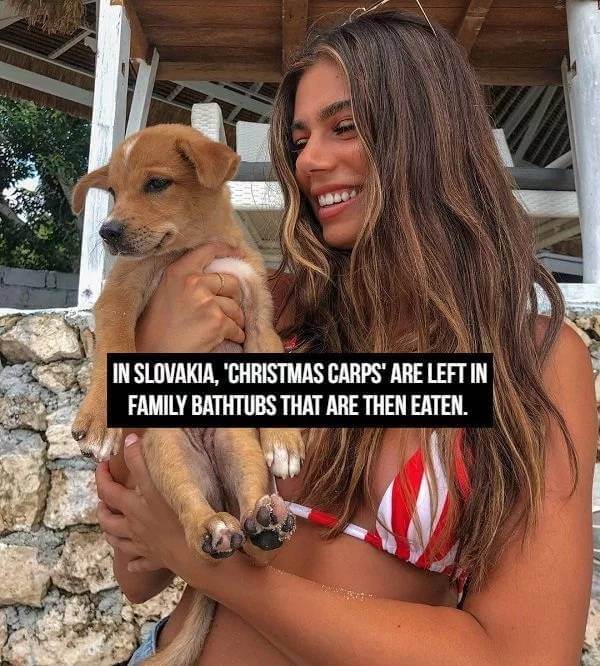 Sexy Bikini Girls and Facts 