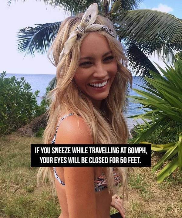 Sexy Bikini Girls and Facts 