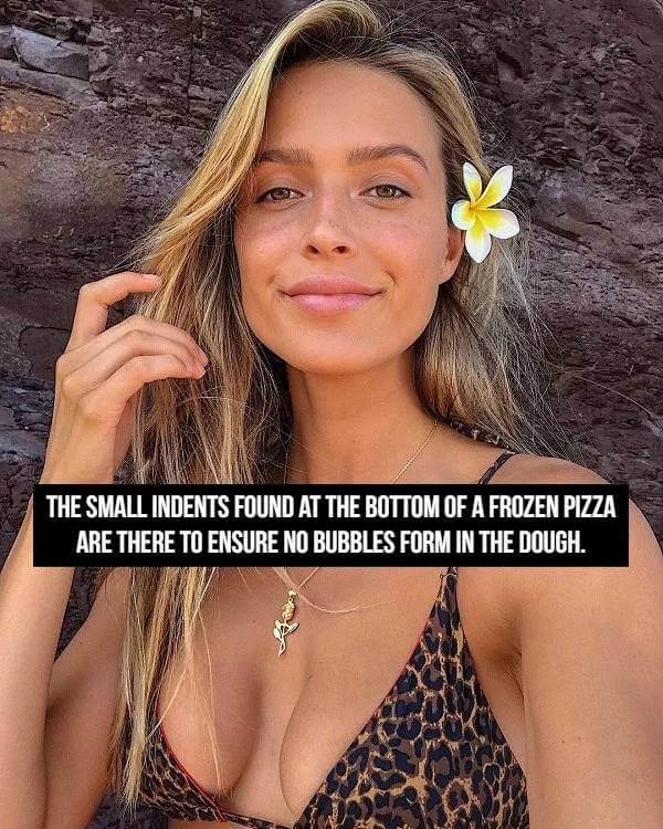 Sexy Bikini Girls and Facts 