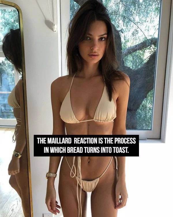 Sexy Bikini Girls and Facts 