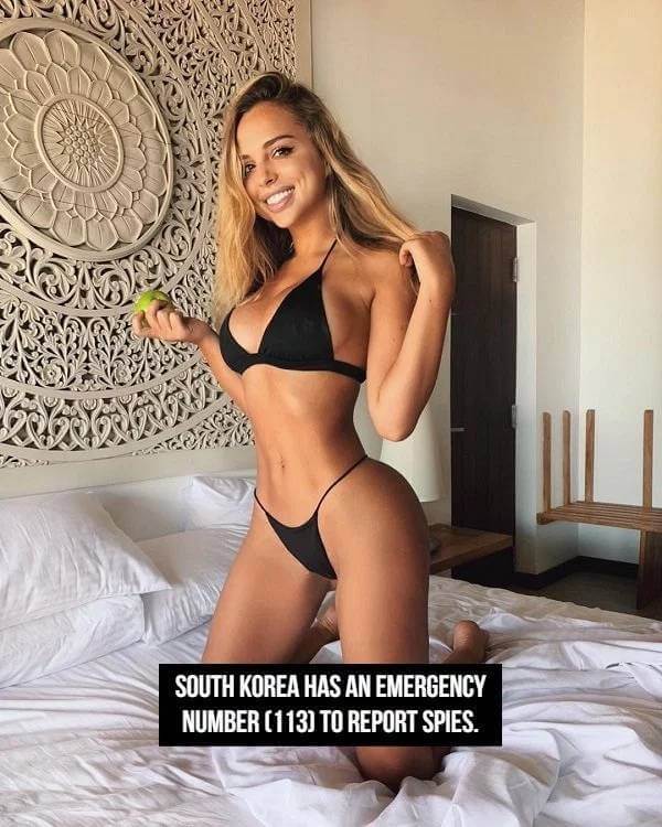 Sexy Bikini Girls and Facts 