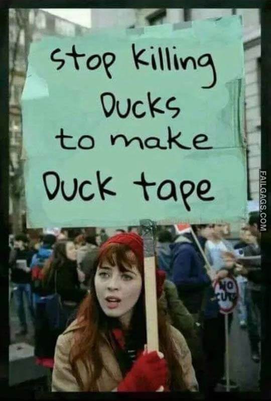 Stop Killing Ducks to Make Duck Tape Meme