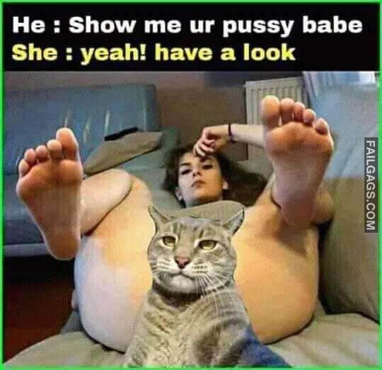 He Show Me Your Pussy Babe She Yeah! Have a Look Meme