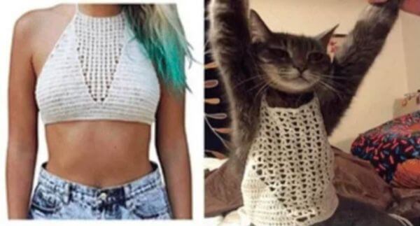 Online Shopping Funny Reviews Can Be Very Useful 