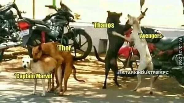 Thanos Vs Avengers Thor Vs Captain Marvel Meme