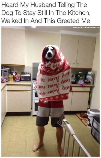 Adults Can Have Fun Too Funny Memes 