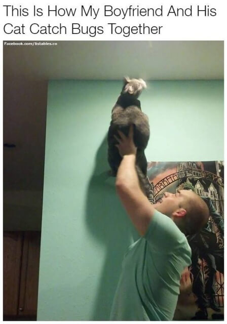 Adults Can Have Fun Too Funny Memes 