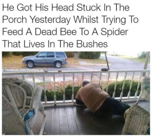 Adults Can Have Fun Too Funny Memes 