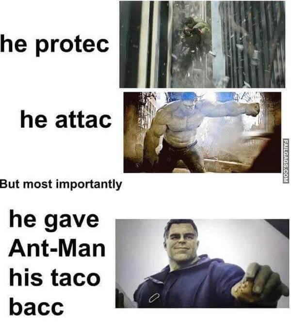 He Protec He Attac but Most Importantly He Gave Ant-man His Taco Bacc Meme