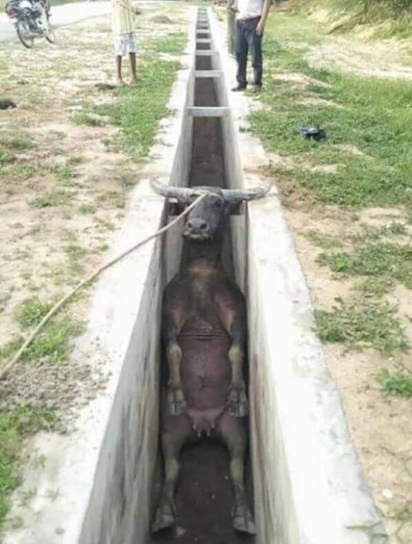 The Definition of a Bad Day 