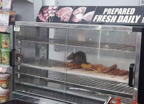 The Definition of a Bad Day 