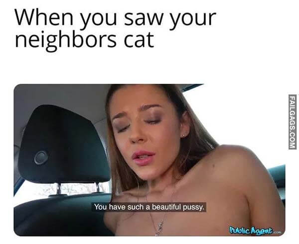 When You Saw Your Neighbors Cat You Have Such a Beautiful Pussy Meme