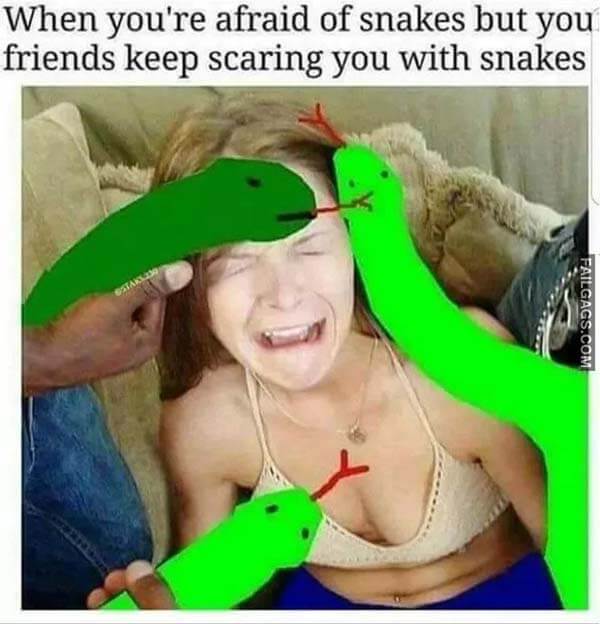 When You're Afraid of Snakes but Your Friends Keep Scaring You With Snakes Meme